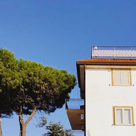 Domus Cedri Apartment Santa Maria Del Cedro Esterno foto