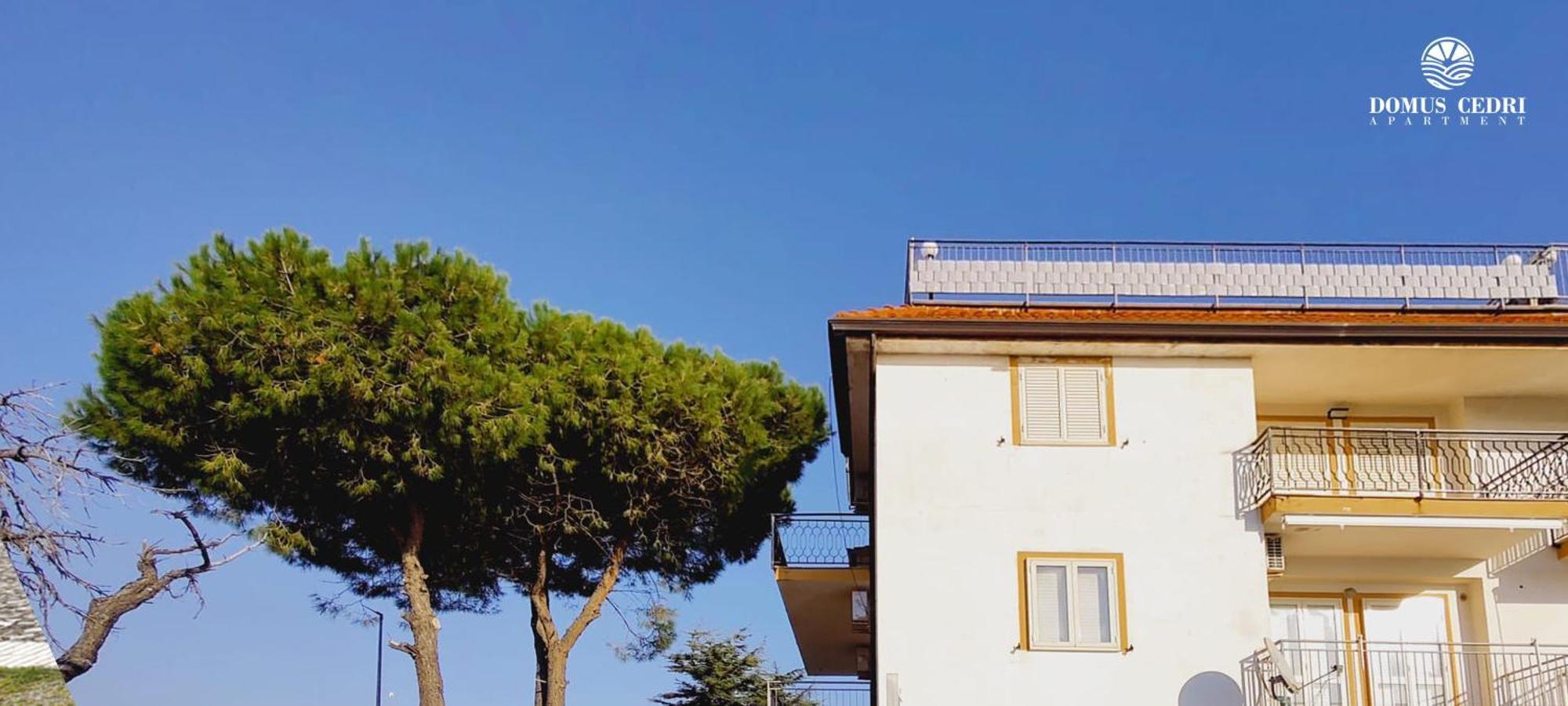 Domus Cedri Apartment Santa Maria Del Cedro Esterno foto